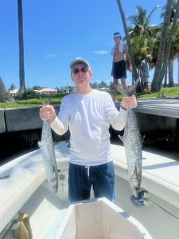 Spanish Mackerel Fishing in Jupiter, Florida