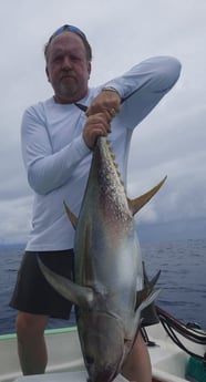 Yellowfin Tuna fishing in Puerto Jiménez, Puntarenas Province