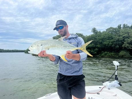 Jack Crevalle Fishing in Tampa, Florida