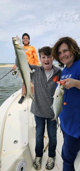 Ladyfish Fishing in Mount Pleasant, South Carolina