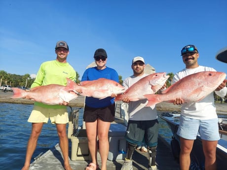 Red Snapper Fishing in St. Petersburg, Florida
