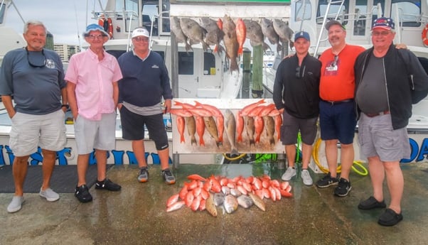 Scamp Grouper, Triggerfish, Vermillion Snapper Fishing in Destin, Florida