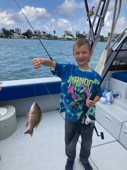Mutton Snapper Fishing in West Palm Beach, Florida