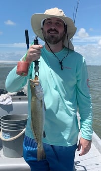 Speckled Trout / Spotted Seatrout fishing in Matagorda, Texas