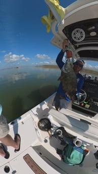 Tripletail Fishing in Galveston, Texas