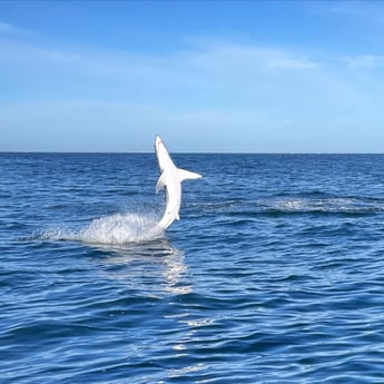 Fishing in Destin, Florida