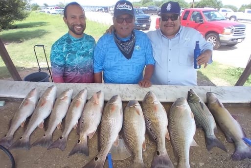 Channel Catfish, Hybrid Striped Bass, Redfish fishing in San Antonio, Texas