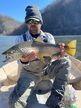 Speckled Trout / Spotted Seatrout fishing in Knoxville, Tennessee