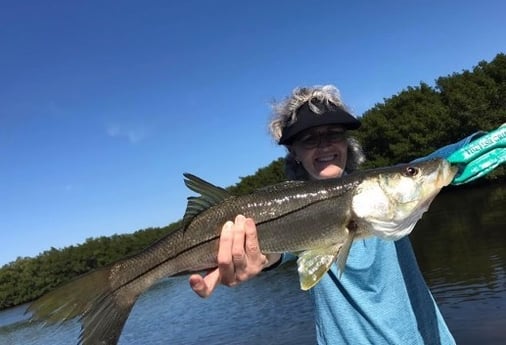 Snook Fishing in St. Petersburg, Florida