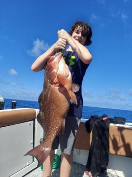 Red Grouper Fishing in St. Petersburg, Florida