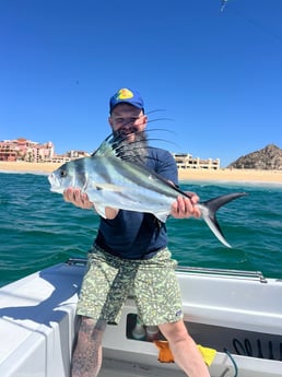 Cabo San Lucas Fishing Reports (August 2024)