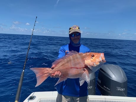 Red Snapper fishing in Fort Myers Beach, Florida