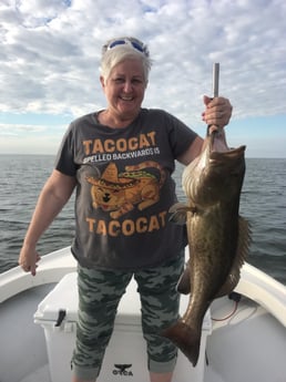 Gag Grouper Fishing in Bradenton, Florida