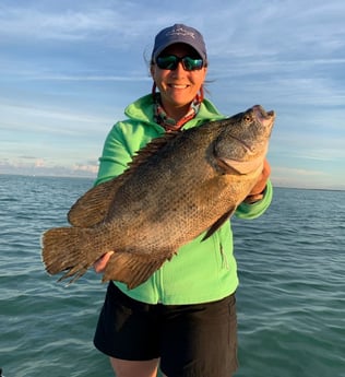 Tripletail Fishing in Islamorada, Florida