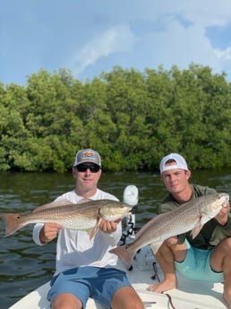Redfish fishing in Bokeelia, Florida