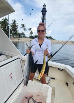 Blackfin Tuna, Kingfish, Mahi Mahi Fishing in Pompano Beach, Florida