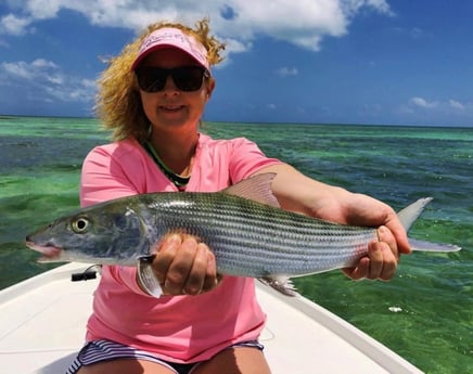 Tarpon fishing in Tavernier, Florida