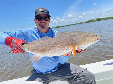 Redfish fishing in Chokoloskee, Florida