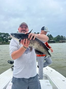 Channel Catfish Fishing in Etoile, Texas