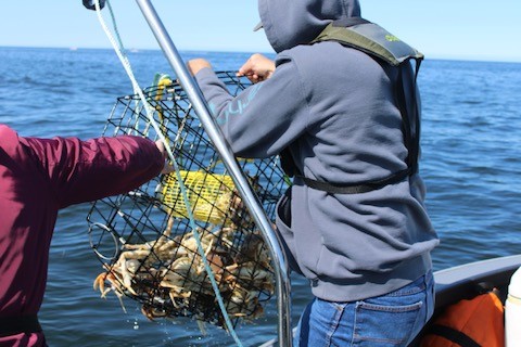 Crab Fishing in Garibaldi, Oregon