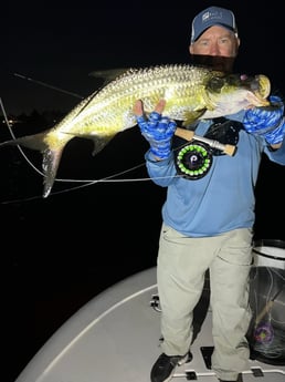 Tarpon Fishing in Jupiter, Florida