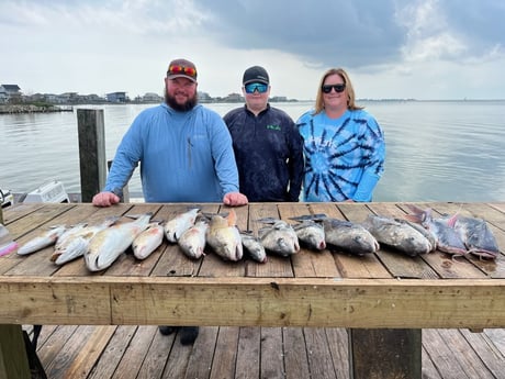 Black Drum, Blue Catfish, Redfish, Speckled Trout Fishing in Galveston, Texas