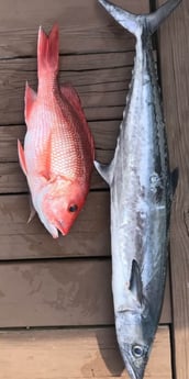 King Mackerel / Kingfish, Red Snapper fishing in Niceville, Florida