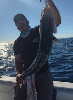 Amberjack Fishing in Clearwater, Florida