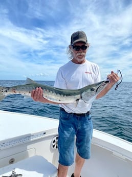 Barracuda fishing in Placida, Florida