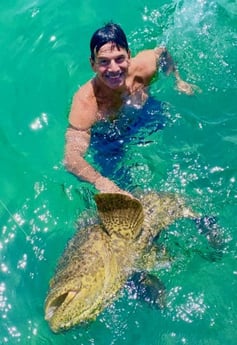 Goliath Grouper Fishing in Key West, Florida