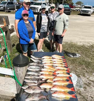 Lane Snapper, Scup Fishing in Cape Coral, Florida