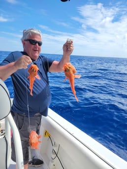 Blackbelly Rosefish Fishing in Fort Lauderdale, Florida