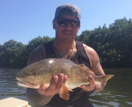 Redfish fishing in Largo, Florida