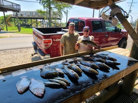Flounder, Redfish, Sheepshead, Speckled Trout / Spotted Seatrout Fishing in Yscloskey, Louisiana