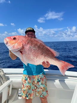Red Snapper Fishing in Gulfport, Florida