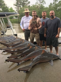 Blacktip Shark Fishing in Gulf Shores, Alabama