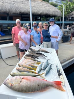 Mangrove Snapper, Mutton Snapper, Spanish Mackerel, Yellowtail Snapper Fishing in Key West, Florida