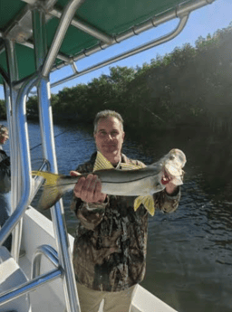 Snook Fishing in Tampa, Florida