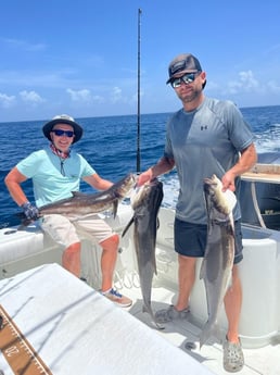 Cobia fishing in Port Orange, Florida