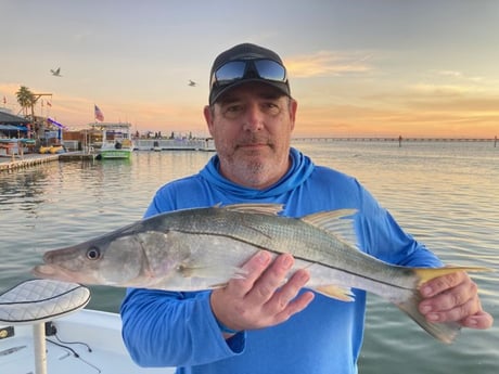 Snook Fishing in South Padre Island, Texas
