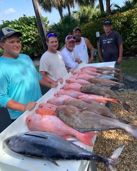 Blackfin Tuna, Red Grouper, Red Snapper, Scamp Grouper fishing in Sarasota, Florida