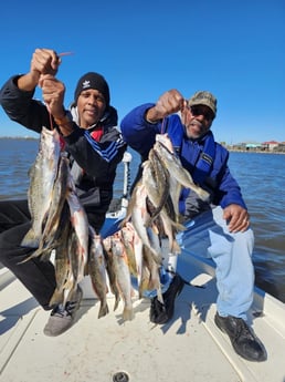 Speckled Trout / Spotted Seatrout Fishing in New Orleans, Louisiana