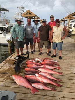 Cobia, Red Snapper fishing in Dauphin Island, Alabama