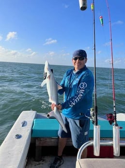 Blacktip Shark Fishing in Corpus Christi, Texas