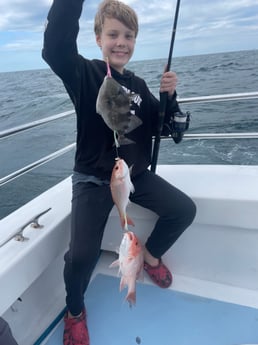 Red Snapper, Triggerfish Fishing in Miami, Florida