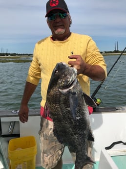 Black Drum fishing in Hilton Head Island, South Carolina