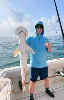 Bonnethead Shark Fishing in Galveston, Texas