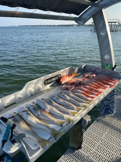 Red Snapper, Tilefish, Vermillion Snapper Fishing in Santa Rosa Beach, Florida