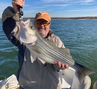 Striped Bass Fishing in Pottsboro, Texas