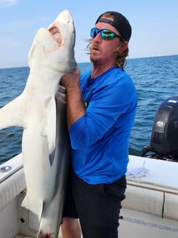 Blacktip Shark Fishing in Galveston, Texas